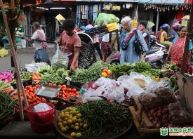 印度：西紅柿價格飆升